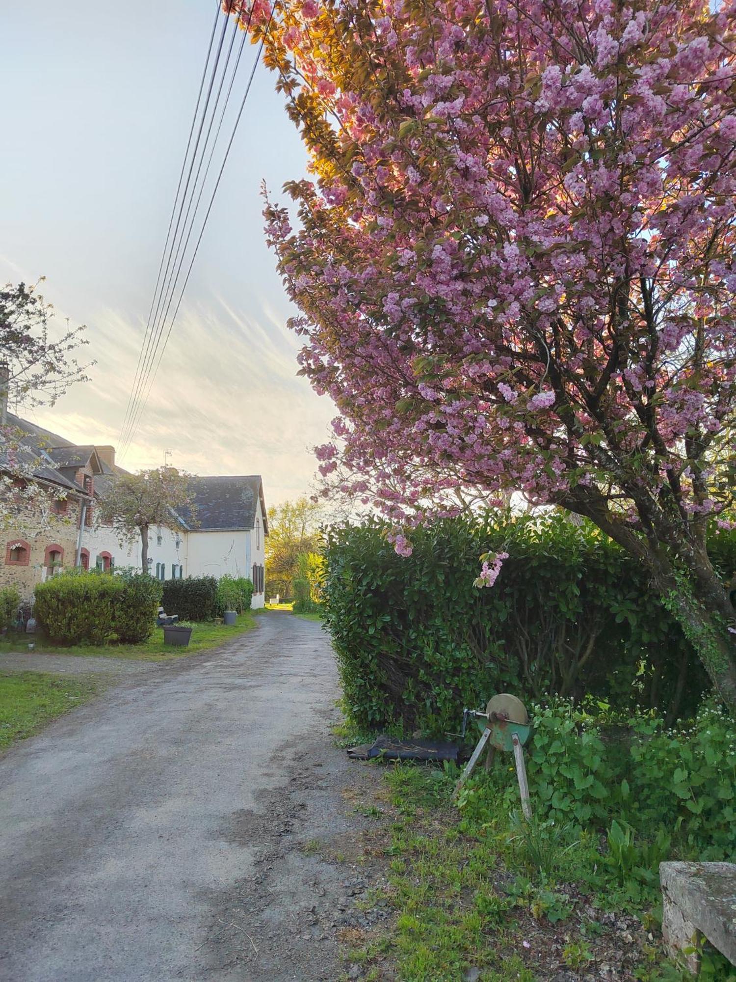 Gites La Butte De L'Esperance Renazé Exterior photo
